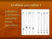 Pamoka: barokas ir vargonai 9 puslapis