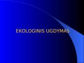 Papildomas ekologinis ugdymas 2 puslapis
