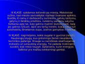 Papildomas ekologinis ugdymas 6 puslapis