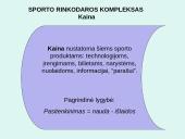 Paramos paketas 6 puslapis