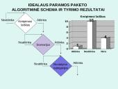 Paramos paketas 10 puslapis