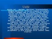 Parazitiniai vabzdžiai 4 puslapis