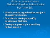 Parengtos strategijos sėkmingo realizavimo prielaidos 13 puslapis