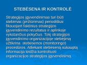 Parengtos strategijos sėkmingo realizavimo prielaidos 14 puslapis