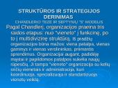 Parengtos strategijos sėkmingo realizavimo prielaidos 4 puslapis
