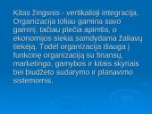 Parengtos strategijos sėkmingo realizavimo prielaidos 5 puslapis