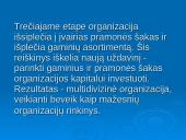 Parengtos strategijos sėkmingo realizavimo prielaidos 6 puslapis