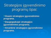 Parengtos strategijos sėkmingo realizavimo prielaidos 10 puslapis