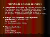 Pasaulinių operacijų ir tiekimo grandinės vadyba 13 puslapis