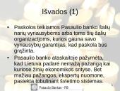 Pasaulio banko veikla 16 puslapis