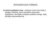 Pasaulio ekonomikos internacionalizavimo procesai 11 puslapis