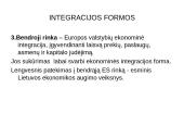 Pasaulio ekonomikos internacionalizavimo procesai 14 puslapis