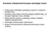 Pasaulio ekonomikos internacionalizavimo procesai 15 puslapis