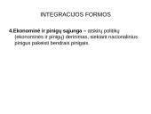 Pasaulio ekonomikos internacionalizavimo procesai 20 puslapis