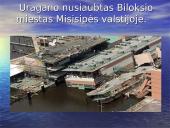 Pasaulio gamtinės katastrofos 12 puslapis