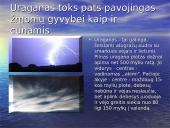 Pasaulio gamtinės katastrofos 8 puslapis