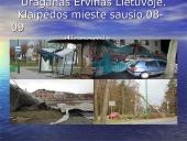 Pasaulio gamtinės katastrofos 9 puslapis