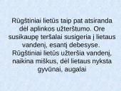 Pasaulio problemos 9 puslapis