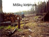 Pasaulio problemos 10 puslapis