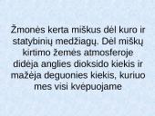 Pasaulio problemos ir jų padariniai 11 puslapis