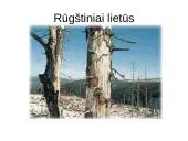 Pasaulio problemos ir jų padariniai 8 puslapis