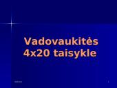 Pasiruošimas susitikimui su darbdaviu 13 puslapis