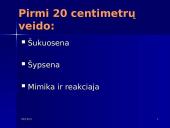 Pasiruošimas susitikimui su darbdaviu 15 puslapis