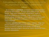 Pasiūlos ir paklausos elastingumas 11 puslapis