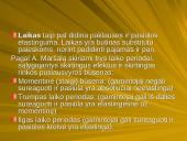 Pasiūlos ir paklausos elastingumas 12 puslapis