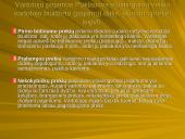 Pasiūlos ir paklausos elastingumas 13 puslapis