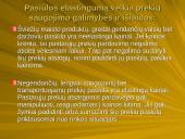 Pasiūlos ir paklausos elastingumas 14 puslapis