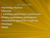 Pasiūlos ir paklausos elastingumas 15 puslapis