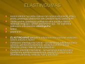 Pasiūlos ir paklausos elastingumas 6 puslapis