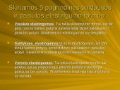 Pasiūlos ir paklausos elastingumas 8 puslapis