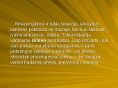 Pasiūlos ir paklausos elastingumas 10 puslapis