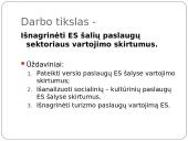 Paslaugų vartojimo skirtumai Europos Sąjungos (ES) šalyse 2 puslapis