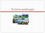 Paslaugų vartojimo skirtumai Europos Sąjungos (ES) šalyse 20 puslapis