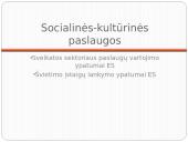 Paslaugų vartojimo skirtumai Europos Sąjungos (ES) šalyse 8 puslapis
