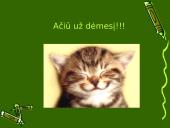 Pateiktys - mokytojo pagalbininkės 12 puslapis