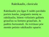 Pečių lankas 15 puslapis