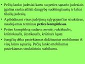 Pečių lankas 3 puslapis