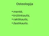 Pečių lankas 6 puslapis