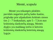 Pečių lankas 9 puslapis