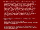 Pedagoginio poveikio būdai ir jų taikymo sąlygos 3 puslapis