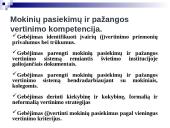 Pedagogo profesijos paveikslas 12 puslapis