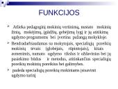 Pedagogo profesijos paveikslas 3 puslapis