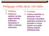 Pedagogo ugdomosios galimybės ir ribos 3 puslapis