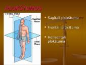 Pėdos kompleksas 2 puslapis