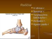 Pėdos kompleksas 11 puslapis