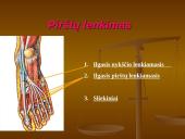 Pėdos kompleksas 17 puslapis